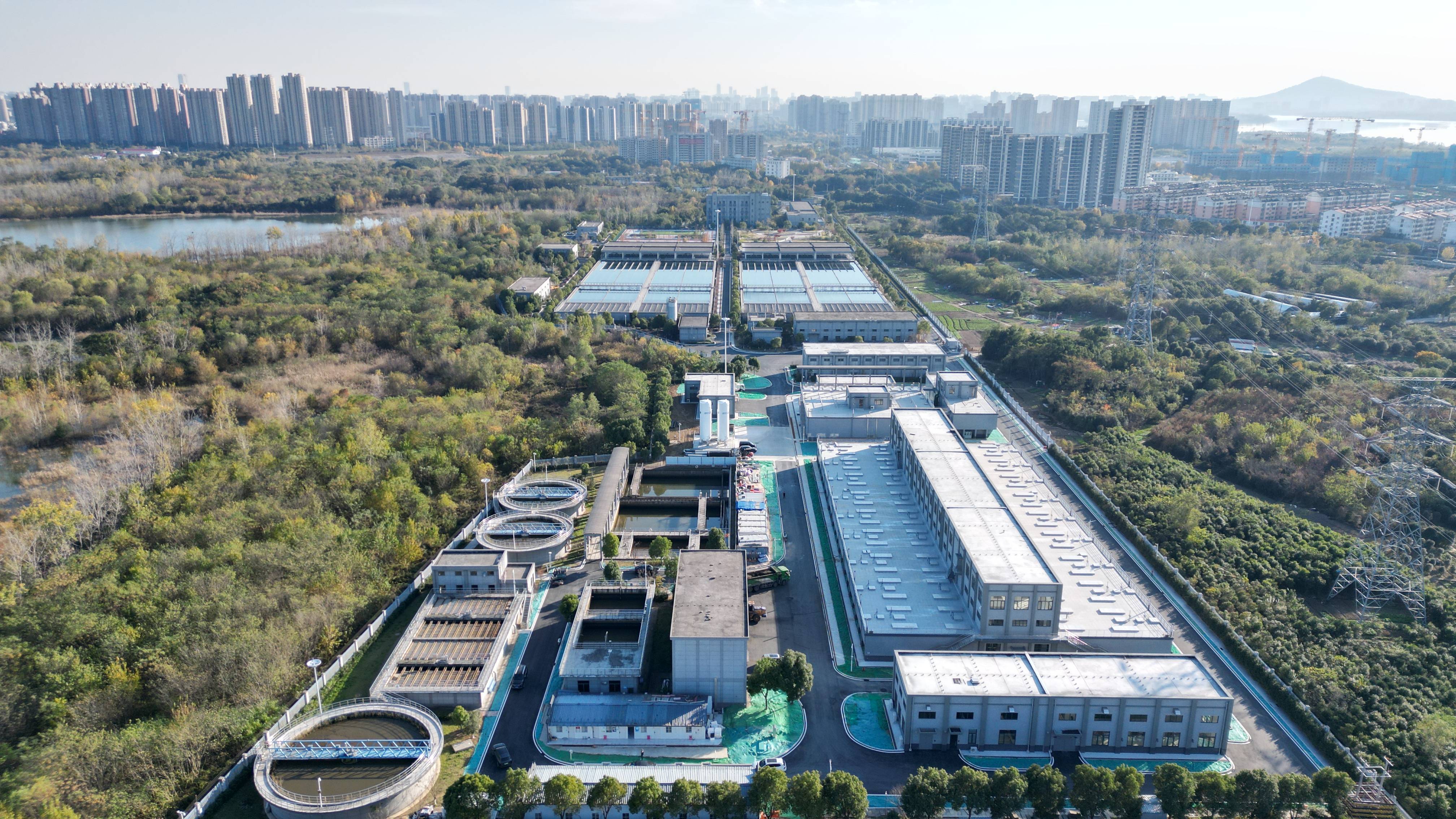 防城港市合肥专业企业价值增长(合肥市重点企业产业目录)