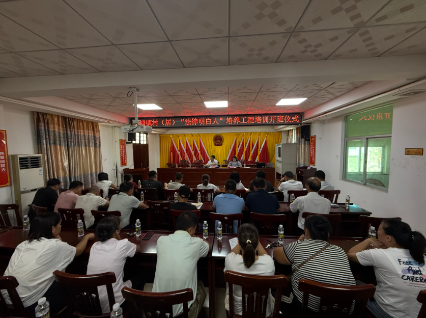 防城港市海口专业法务咨询(海南法之道法务咨询有限公司)