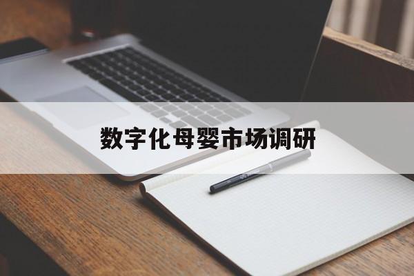 防城港市数字化母婴市场调研(数字化母婴市场调研报告)